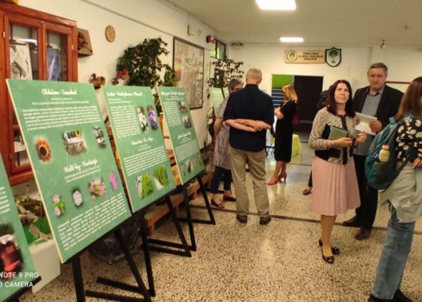 IMG-542d7e04387adf5cbfcc03af3365ac76-V-900x506