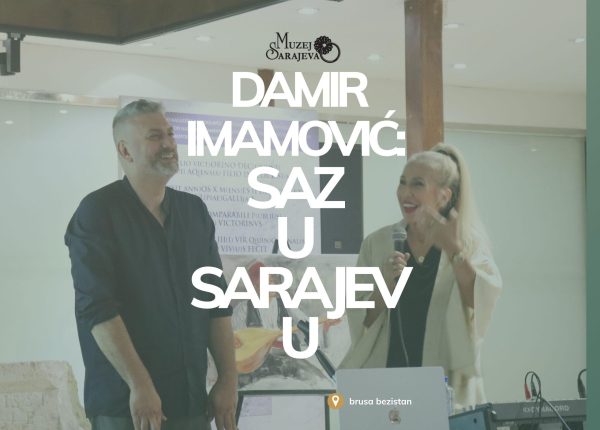 Damir predavanje (Prezentacija (43))