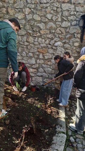 577009591 122107910775074387 1523513108896131818 n