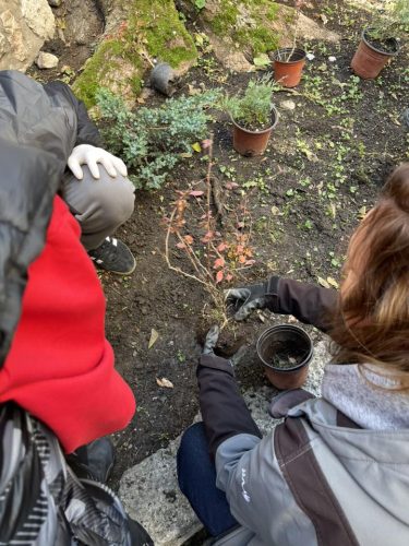 577032642 122107910529074387 3320932306201597011 n