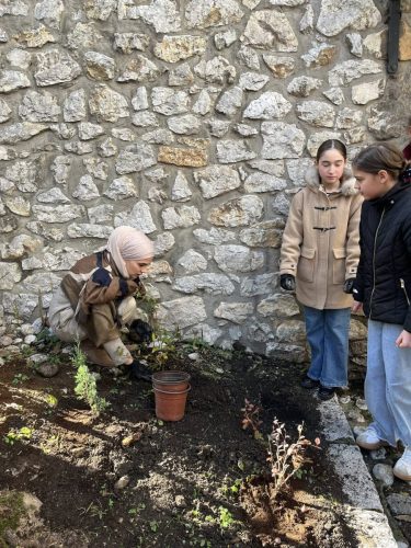 577551510 122107910799074387 6329698655627656806 n