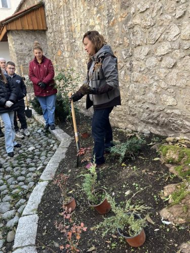 577798956 122107910751074387 5097676187093861539 n