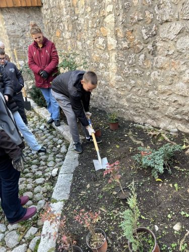 578846425 122107910733074387 1707279212114501844 n