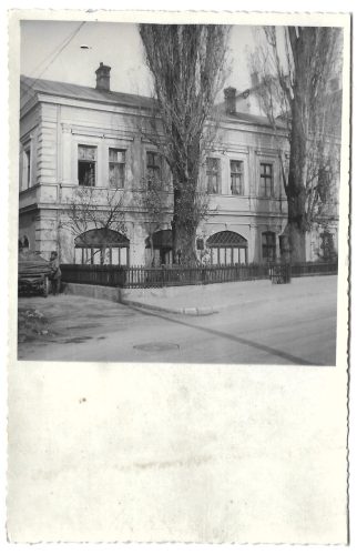 72-Despica-kuca-Pogled-na-prednji-dio-oko-Despica-kuce