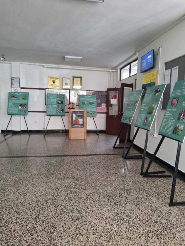 IMG-2bfc2515a7ee273c2eaa50126cc7c7e9-V-675x900