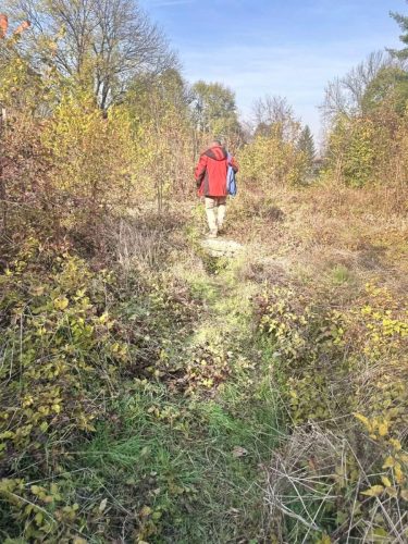 IMG-3db2408cf0eaf2308ea05a60fbb1f7c6-V-1152x1536