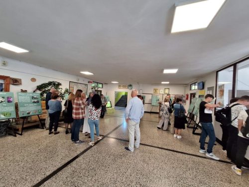 IMG-89e225d700f47adf15b2404948c8a743-V-900x675