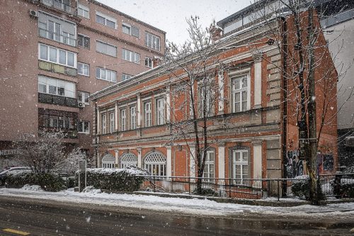 despica-kuca-u-snijegu